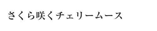 さくら咲くチェリームース