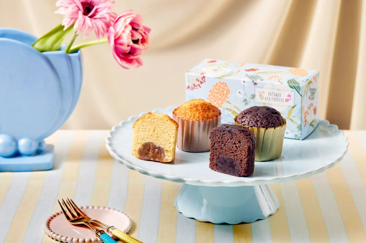 トリュフケーキ＆ガトー・オ・マロン